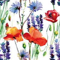 Napkins 33x33 cm - Wild Summer Flowers