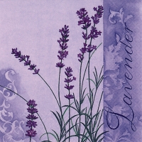 Servetten 33x33 cm - Scent of Lavender
