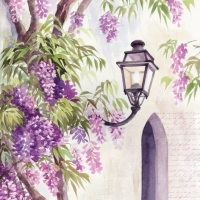 Tovaglioli 33x33 cm - Lantern among Wisteria Bloom
