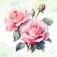 Napkins 33x33 cm - Rosella