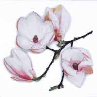 Serviettes 33x33 cm - White Magnolia white