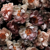 Serviettes 33x33 cm - Victorian Wild Roses