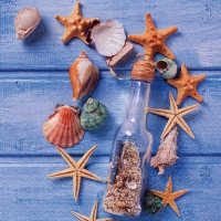 Салфетки 33x33 см - Glas Bottle with Seashells