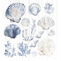 Napkins 33x33 cm - Sea Shells