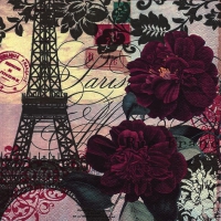 餐巾33x33厘米 - Art Parisienne