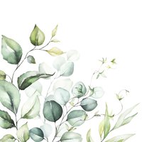 Napkins 33x33 cm - Eucalyptus Branches