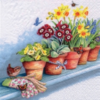 餐巾33x33厘米 - Windowsill with Flower Pots
