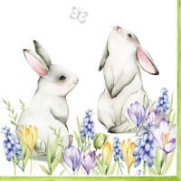 Servietten 33x33 cm - Bunnies in Spring