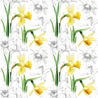 Serviettes 33x33 cm - Narcissus Sketch