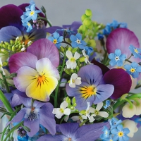 Servetten 33x33 cm - Violets & Forget Me Not