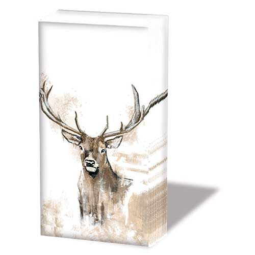 Fazzoletti - Antlers, Cervo,  Foresta,  Corna,  Cervo