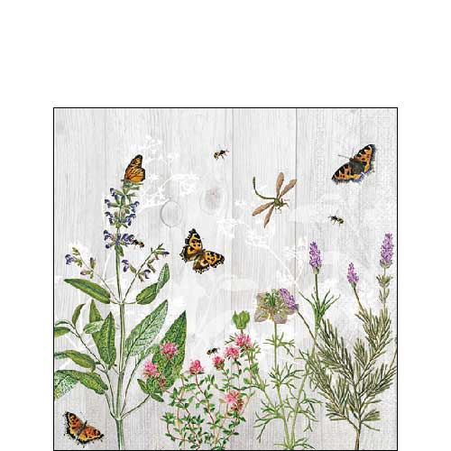 Servilletas 25x25 cm - Herb garden , Libélulas,  Salvia,  Rosemary,  Plantas,  Mariposas,  Vintage,  Hierbas de cocina,  Animales