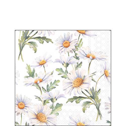 Servilletas 25x25 cm - Beautiful daisies white , Margaritas,  Flores