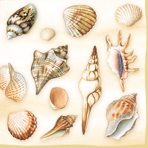 Servilletas 33x33 cm - Shells Cream