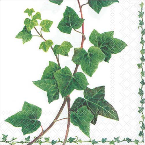 Servietten 33x33 cm - Ivy tendril , Efeu,  Pflanzen