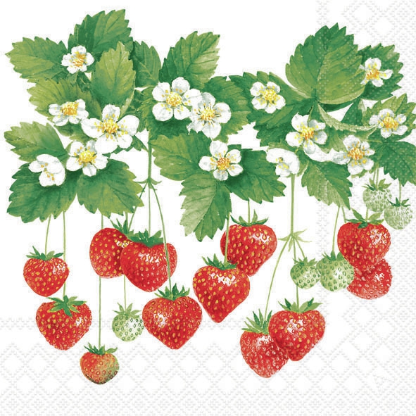Servilletas 33x33 cm - Summer Fruits 