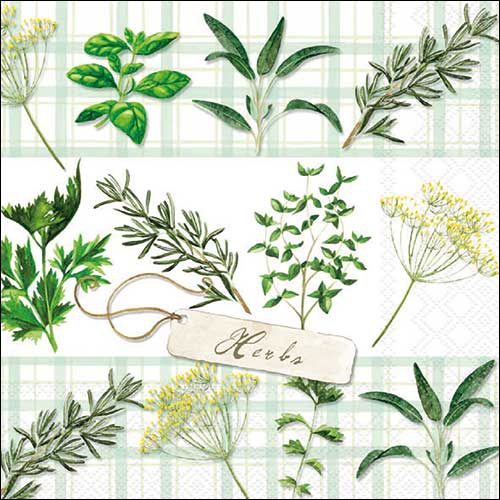 Servietten 33x33 cm - Herbs , Kräuter