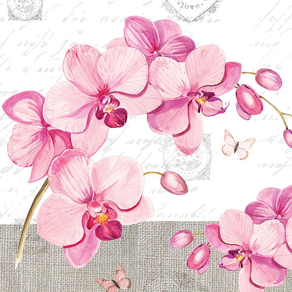 Napkins 33x33 cm - Orchids With Love 