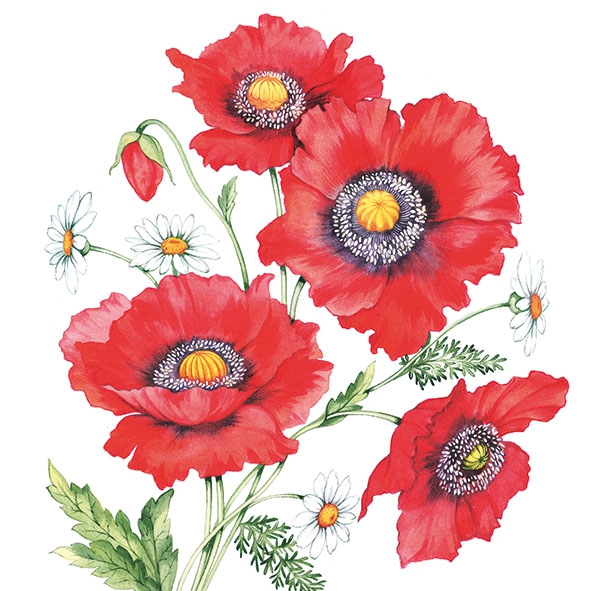 Servietten 33x33 cm - Poppy Scene