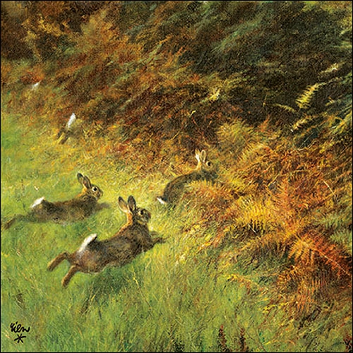 Servietten 33x33 cm - Running Rabbits , Hasen, Wald, Farne, Tiere Servietten 33x33 cm - Running Rabbits