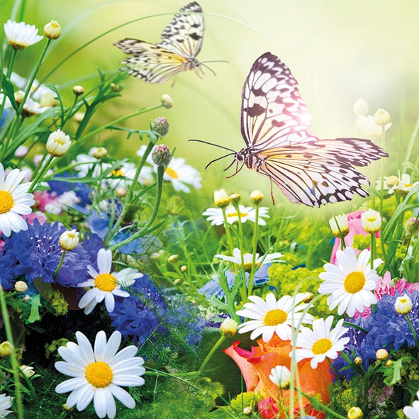 Napkins 33x33 cm - Wildflowers