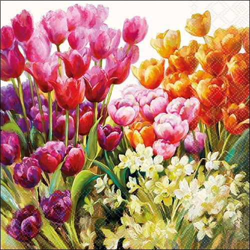 Servilletas 33x33 cm - Tulips