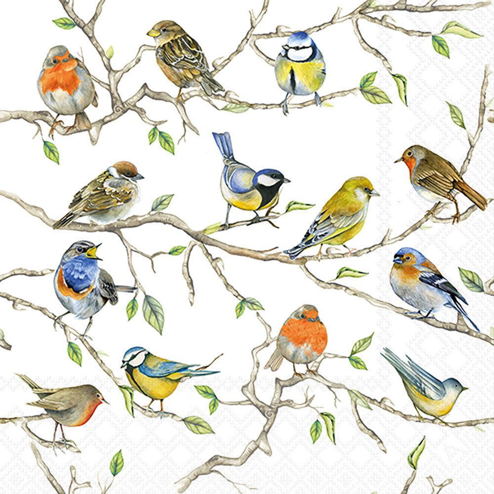 Napkins 33x33 cm - Birds Meeting