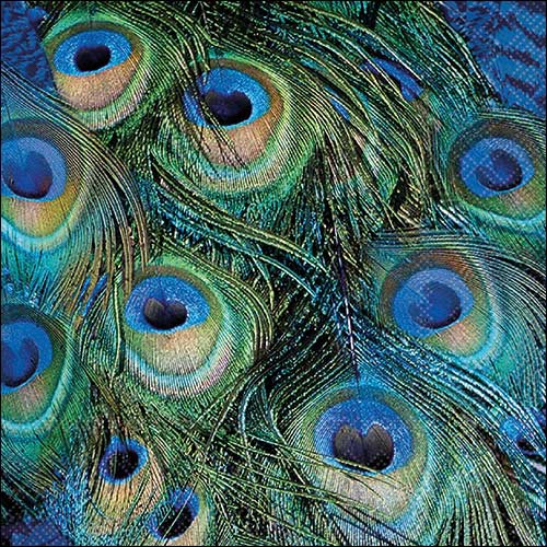 Tovaglioli 33x33 cm - Peacock feathers , Piume,  pavone,  pellicce,  pelle di animali
