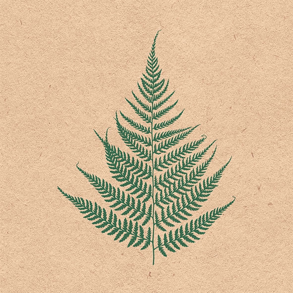 Napkins 33x33 cm - Recycled Fern Leaf , ferns, plants Napkins 33x33 cm - Recycled Fern Leaf