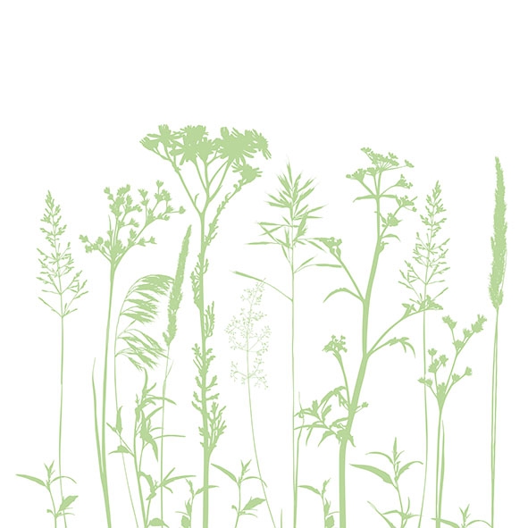Servietten 33x33 cm - Herbs And Flowers L.Green 