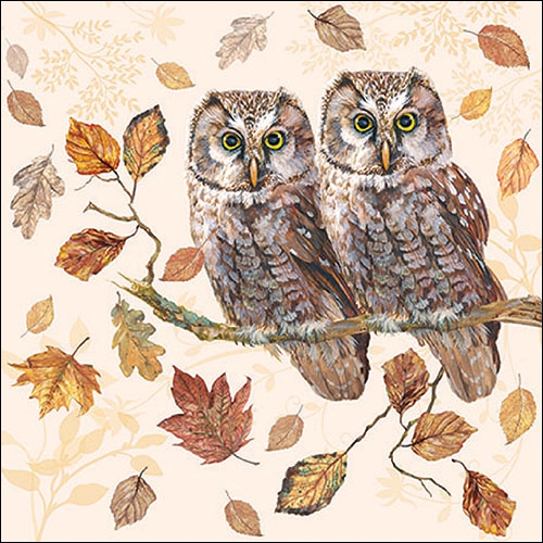 Napkins 33x33 cm - Owl Couple 