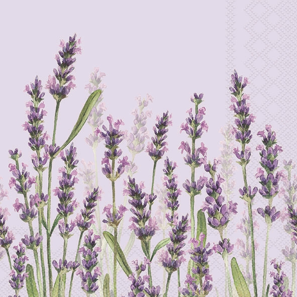 Tovaglioli 33x33 cm - Lavender shades lila 