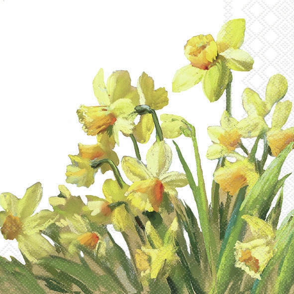 Servietten 33x33 cm - Golden Daffodils 