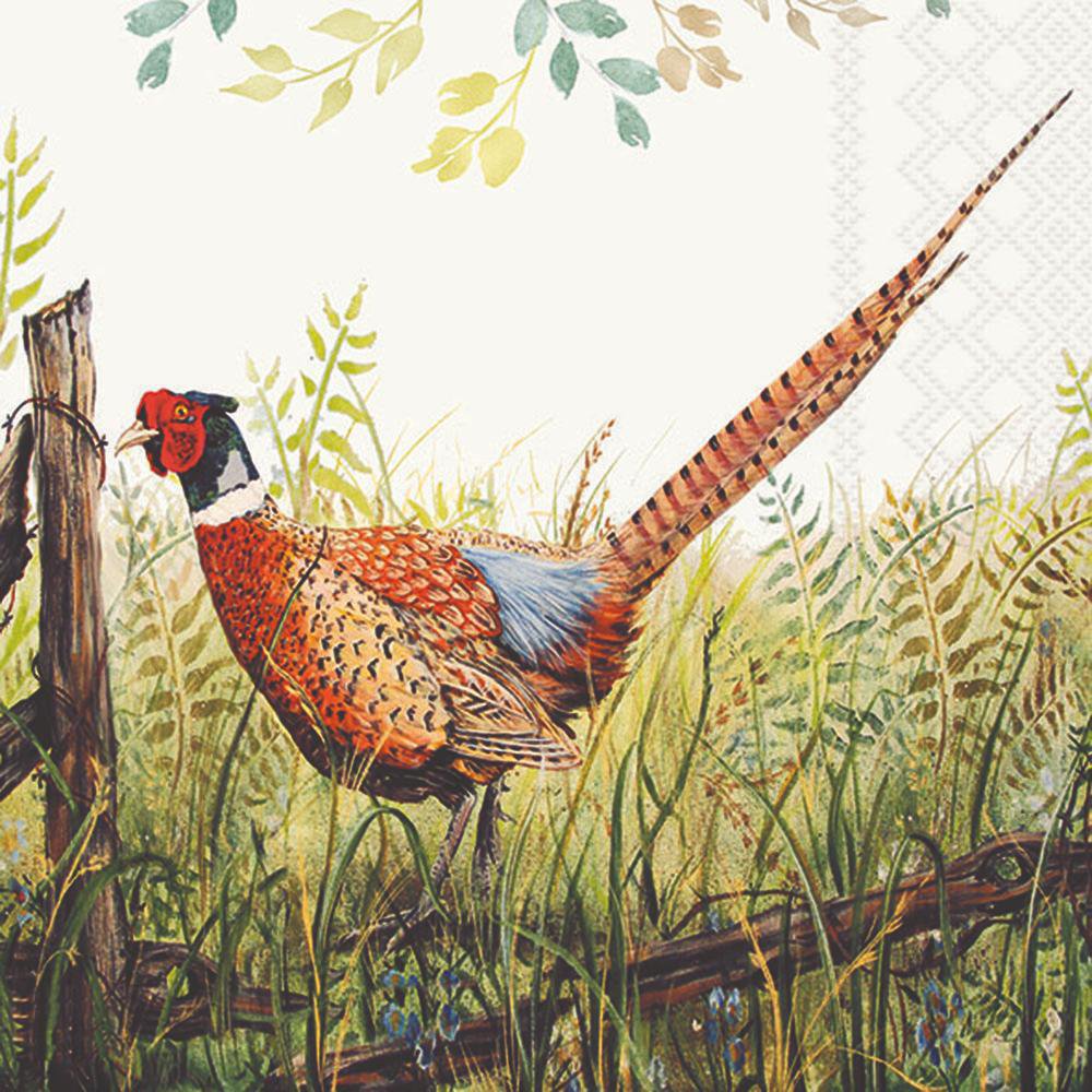 Napkins 33x33 cm - Glorious pheasant