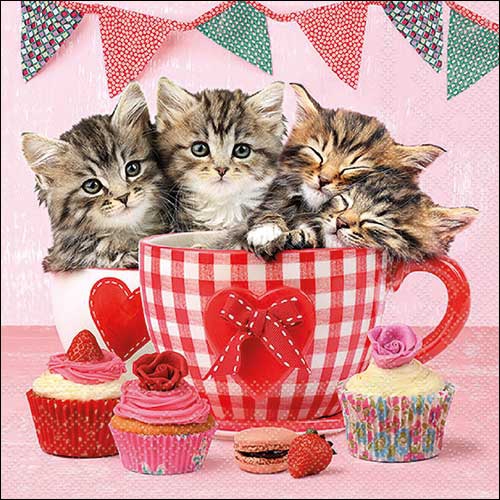 Servilletas 33x33 cm - Cats in tea cups , Gatos,  corazones,  taza,  tarta,  rosas,  animales,  galletas,  flores