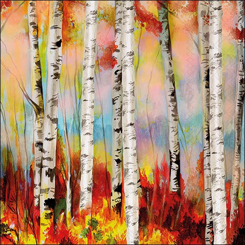 Serwetki 33x33 cm - Birch forrest, Brzozy,  Pnie drzew,  Las,  Jesienne li?cie,  Li?cie,  li?cie,  ??ki