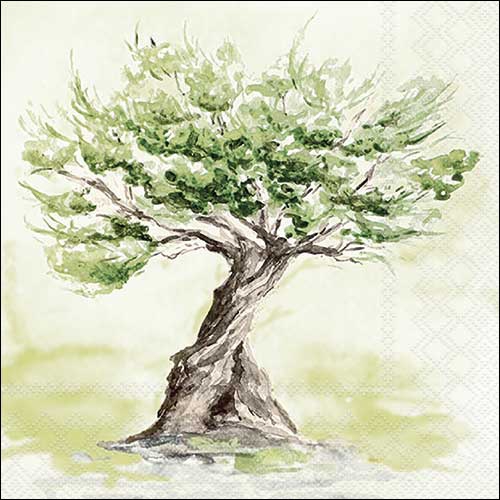 Napkins 33x33 cm - Olive tree