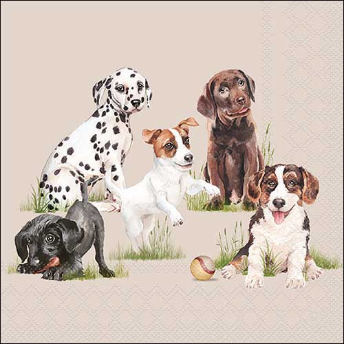 Tovaglioli 33x33 cm - Playing puppies , Cuccioli,  Dalmata,  Jack Russell,  Bassotto,  Labrador,  Cani,  Animali