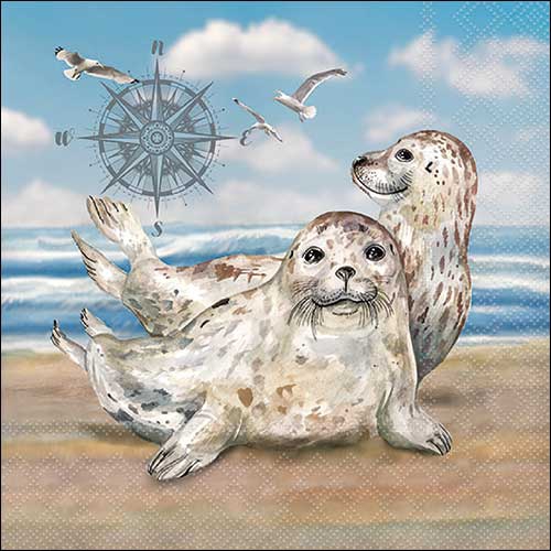 Serwetki 33x33 cm - Seals , Uszczelki,  Uszczelki,  Mewy,  Kpste,  Kompas,  Morze,  Pla?a,  Ptaki,  ptak,  Zwierz?ta