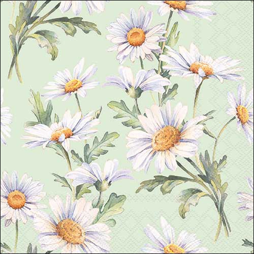 Servilletas 33x33 cm - Beautiful daisies green , Margaritas,  Flores
