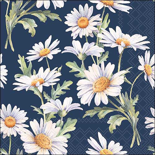 Servilletas 33x33 cm - Beautiful daisies blue , Margaritas,  Flores