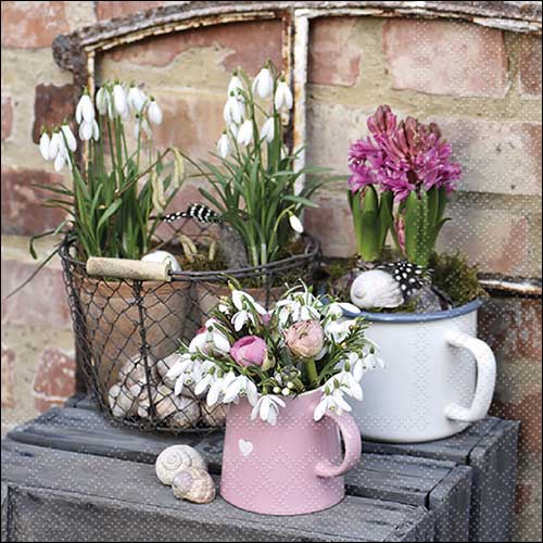 Napkins 33x33 cm - Winter flowers , Garden,  Flower bulbs,  Snowdrops,  Spring,  Flowers,  Hyacinths,  Spring