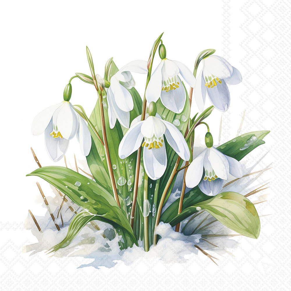 Napkins 33x33 cm - Blooming snowdrops