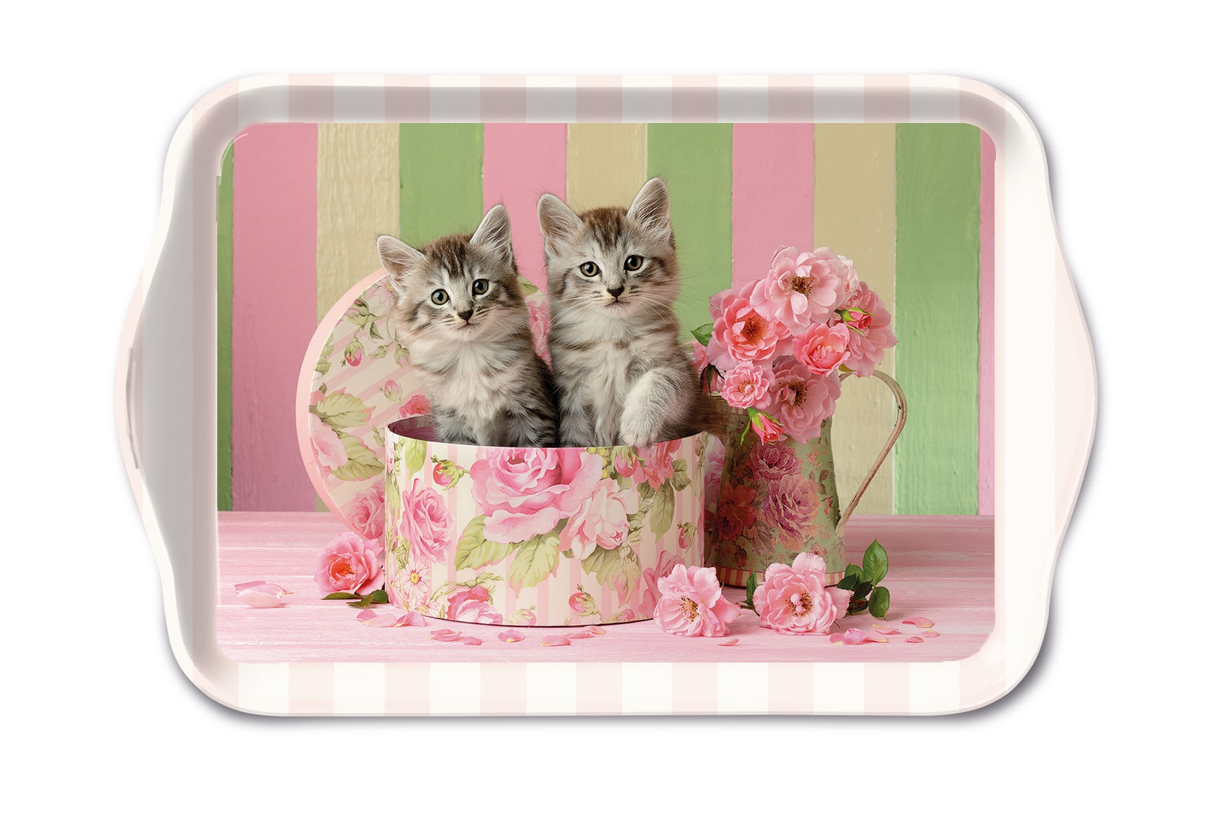 tray - Cats in Box, cats, Tray tray - Cats in Box