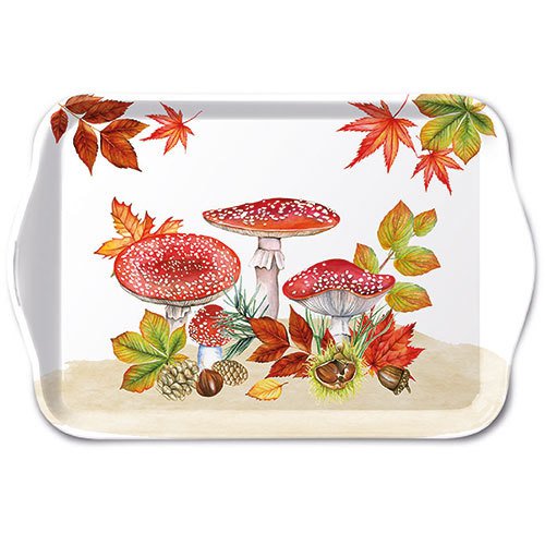 Vaschetta - Fly agaric group, Funghi,  Rospo,  Foresta,  Foglie,  Foglie d´autunno