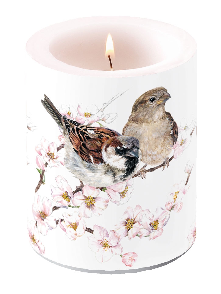 decorative candle - Sparrows Blossom