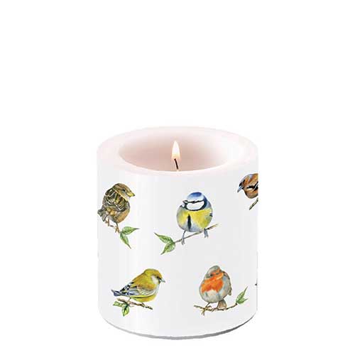 Vela decorativa pequeña - Candle small Bird species white, Pájaros,  petirrojo,  herrerillo,  gorrión,  ave