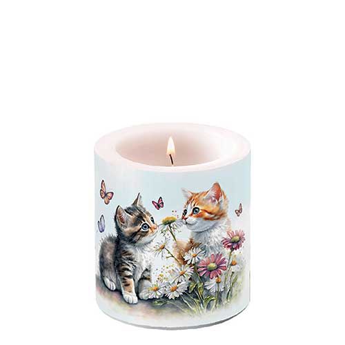 Candela decorativa piccola - Candle small Kittens in flower field, Farfalle,  Gatti,  Gattino,  Gattino,  I fiori