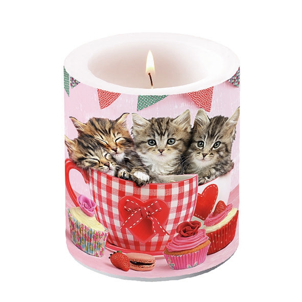 Candela decorativa media - Candle Medium Cats in Tea Cups