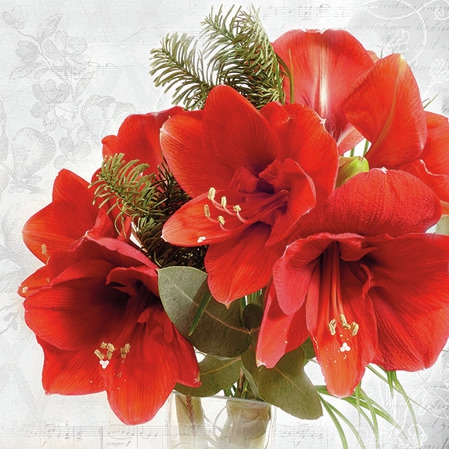 Servietten 25x25 cm - Amaryllis , Amarillys, Astern, Blumen Servietten 25x25 cm - Amaryllis
